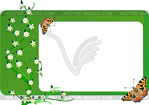 Green card - vector image