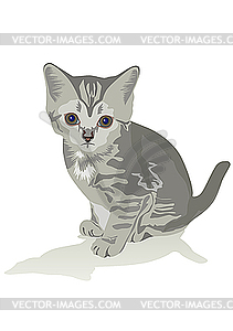 Kitten - vector clipart