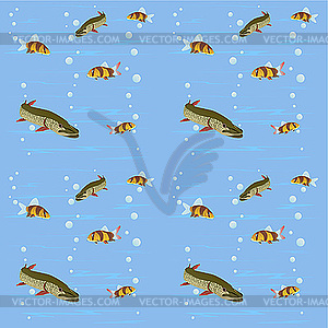 Freshwater fish - vector image