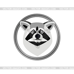 Raccoon - vector clipart