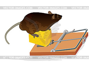 Rat and mouse trap - vector image