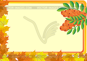 Rowan and maple leaves - vector image