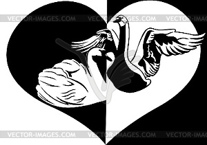 Love and swans - vector clipart