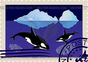 Postage stamp with killer whales - vector clipart