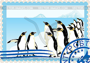 Postage stamp with penguins - vector clip art