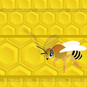 Bee and honey - vector clip art