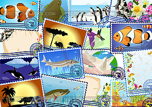 Postage stamps - vector clip art