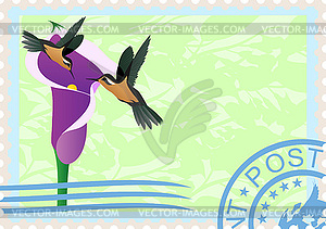 Postage stamps with hummingbirds - vector clip art