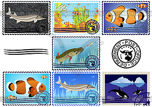 Postage stamps Fish  - color vector clipart