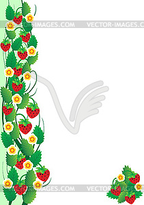 Strawberries - vector clipart