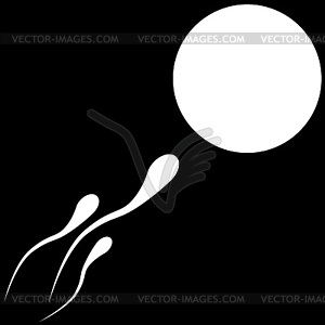 Sperm - vector clip art