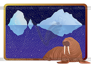 Walrus - vector image