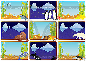 Wildlife - vector image