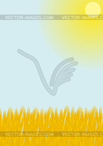 Wheatfield - vector image