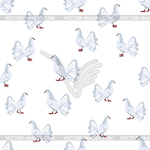 White pigeons - vector clip art