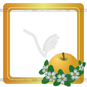 Apple and apple flowers - vector image
