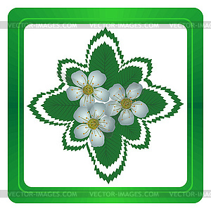 Apple flowers - color vector clipart