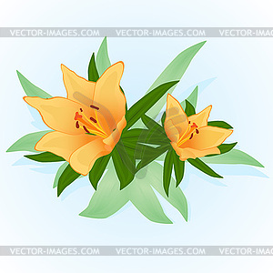 Flowers - vector image