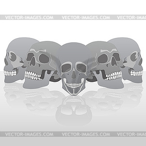 Human skull - vector clipart