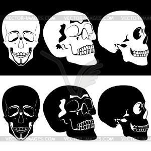 Monochrome skull - white & black vector clipart