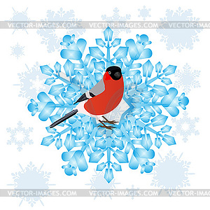 Bullfinch and snowflake - vector clip art