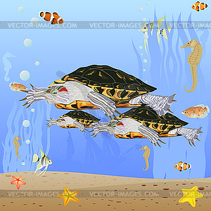 Черепахи в море - рисунок в векторе