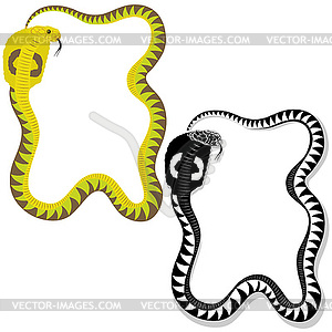 Snake - vector clip art