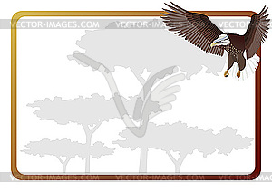 Flying eagle and frame - vector image