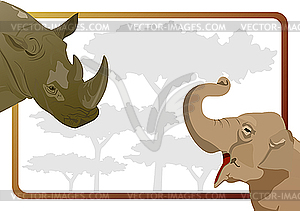 Elephant and rhino - color vector clipart