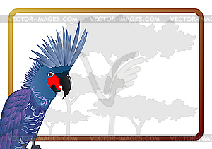 Frame with parrot - vector clipart