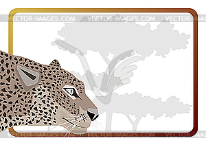 Леопард - цветной векторный клипарт