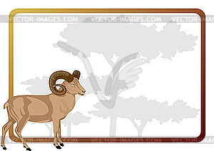 Frame with mouflon - vector image