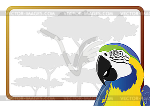 Parrot - vector clip art