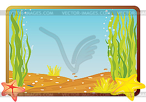 Starfish - vector clipart