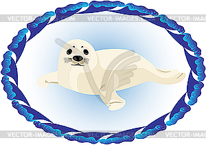 Young seal - vector image