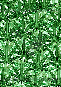 Background of hemp leaves - vector clip art