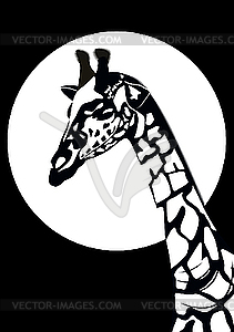 Black and white giraffe - vector clipart