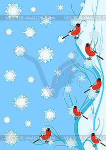 Bullfinches on the branch - vector clipart