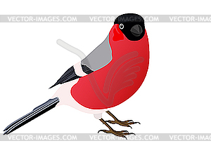 Bullfinch - vector clipart