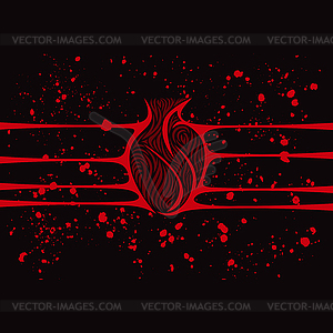 Heart with taut veins - vector clipart