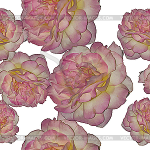 Бесшовного фона розы - иллюстрация в векторном формате