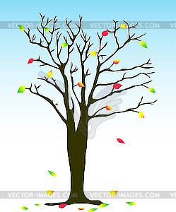 Autumn tree - vector clip art