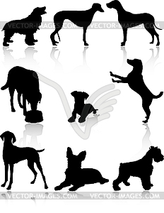 Dog silhouettes - vector image