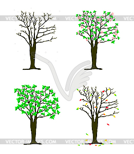 Four seasons trees - vector clip art