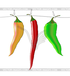 Chili peppers - vector EPS clipart