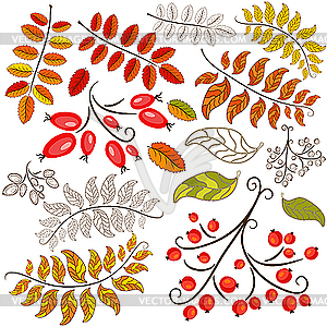 Collection abstract autumn element - vector clipart