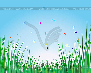 Grass background - vector image