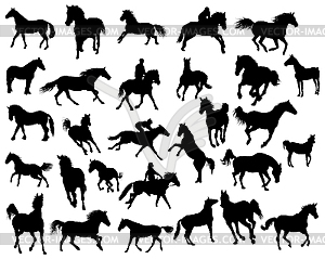 Horses silhouettes - vector image