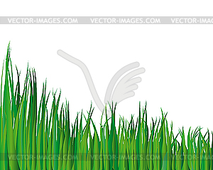 Summer landscape - vector image