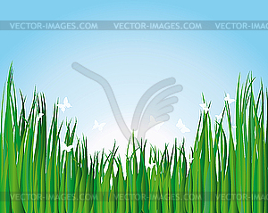 Summer landscape - vector image